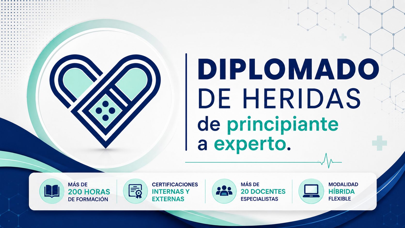 logo diploma 